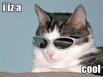 i-iz-a-cool-1.jpg